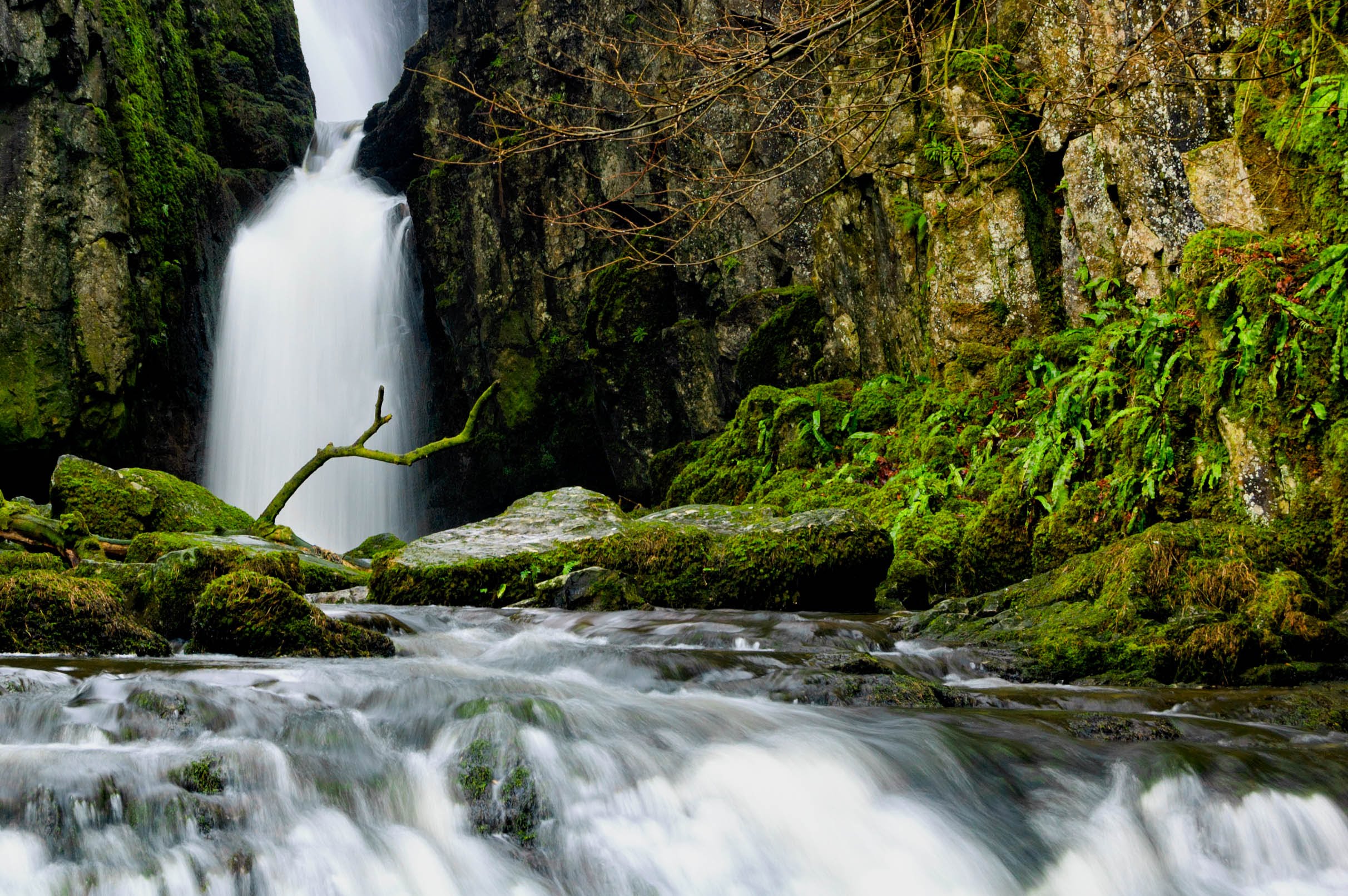 Catrigg Force